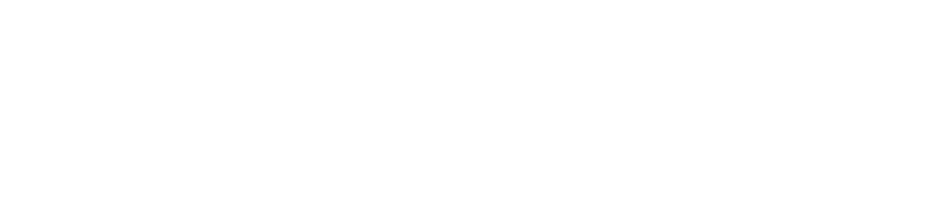 Forsolution Logója